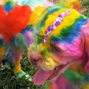 Meet your Posher, Marty